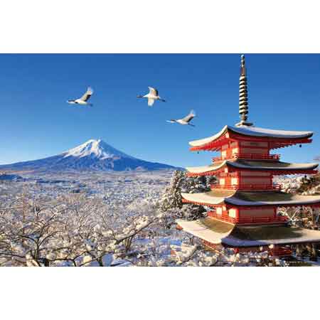 鶴舞う冬景色の富士山（山梨）