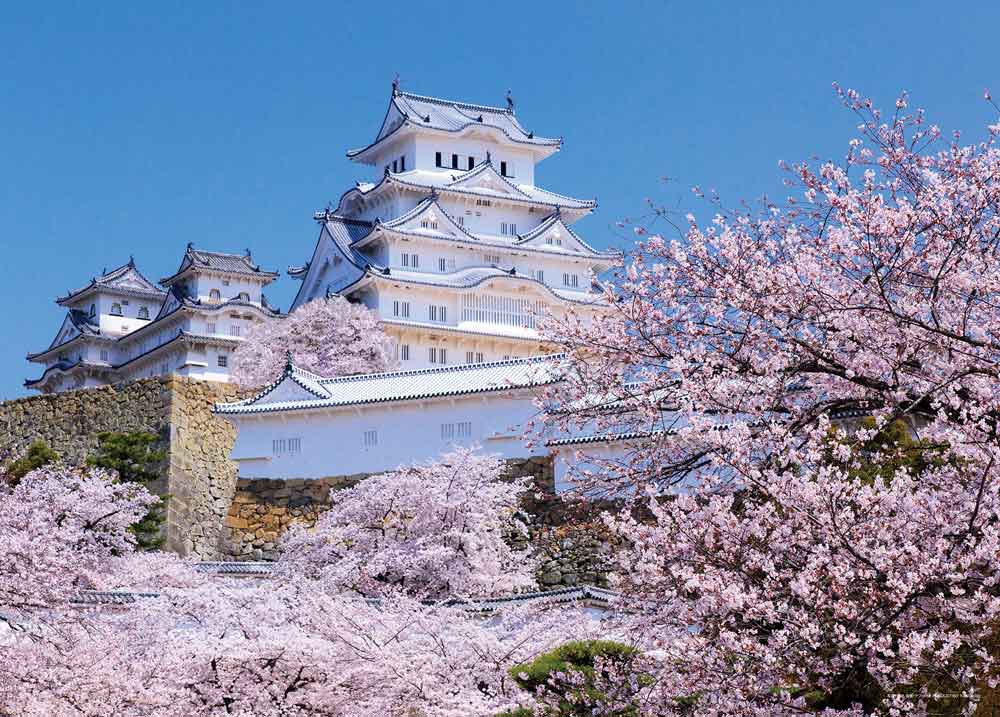 桜香しい姫路城（兵庫）