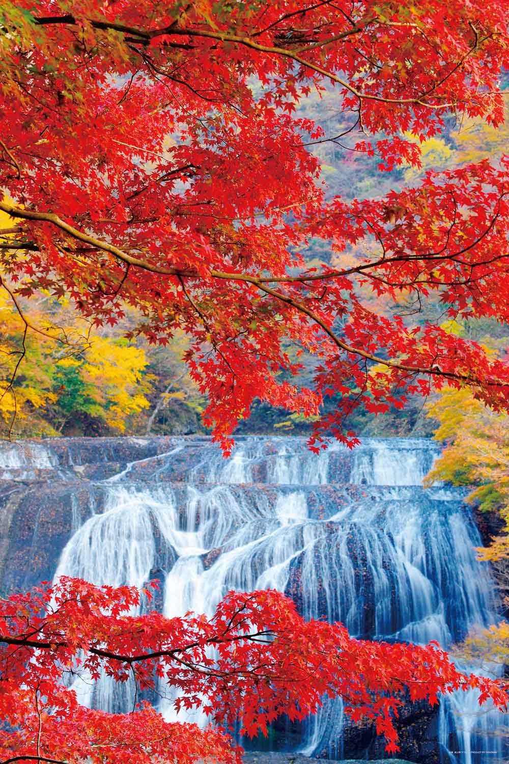 紅葉かかる袋田の滝（茨城）