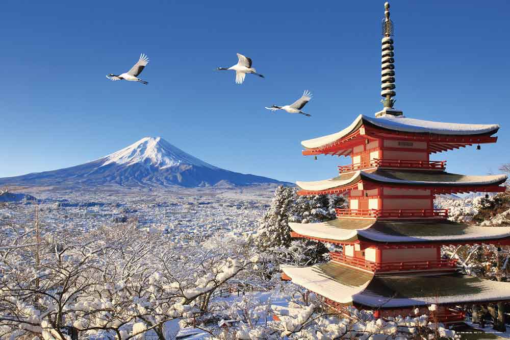 鶴舞う冬景色の富士山（山梨）