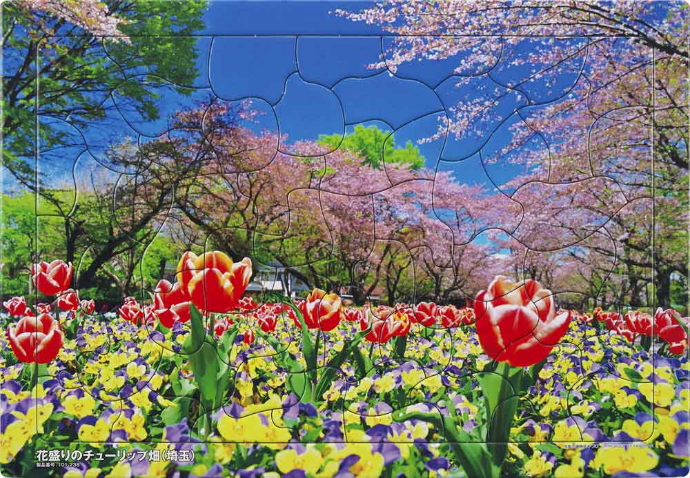 いきいきパズル　花盛りのチューリップ畑（埼玉）【通販限定】