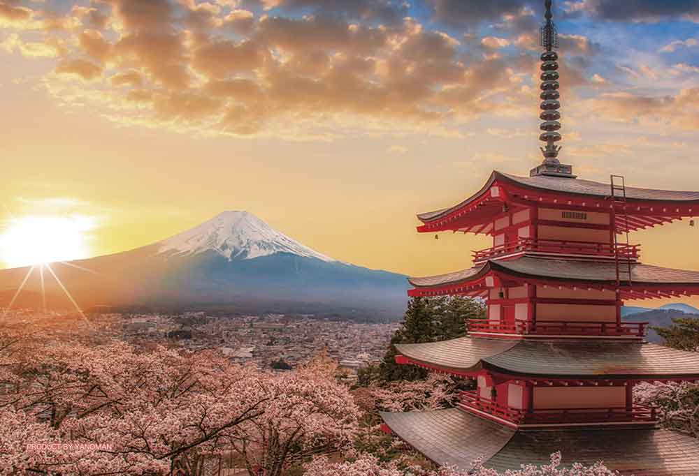 富士山と桜