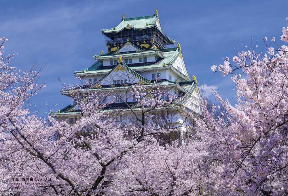 花盛りの大阪城天守閣