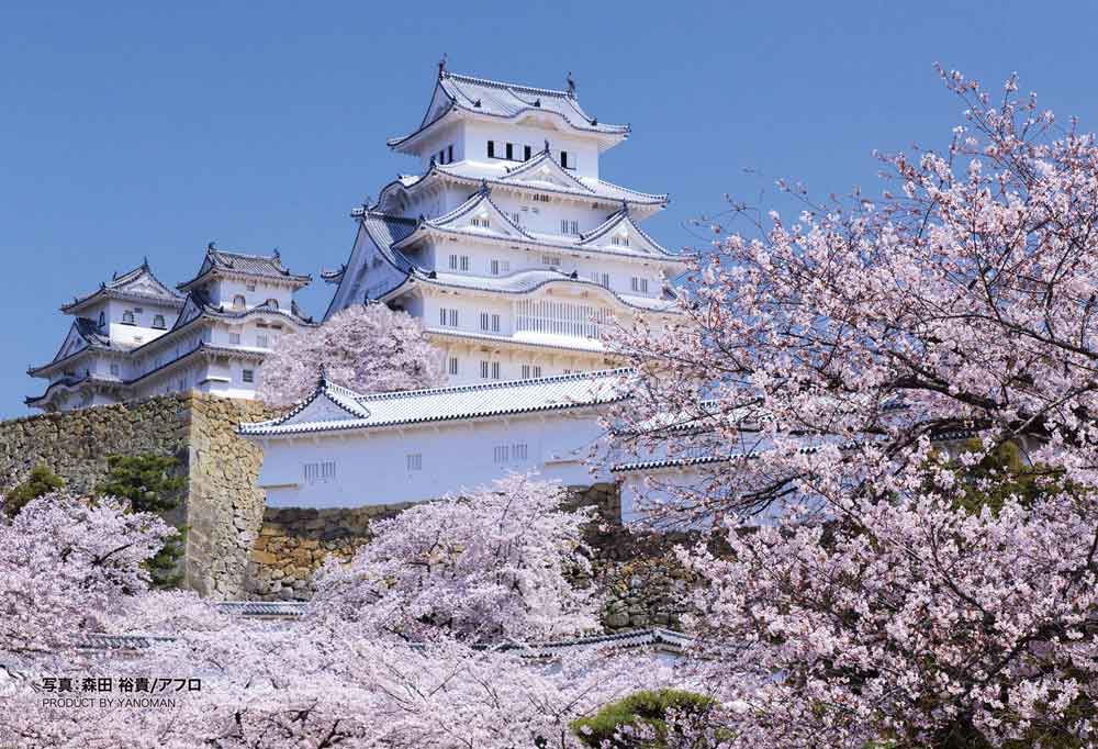 桜香しい姫路城