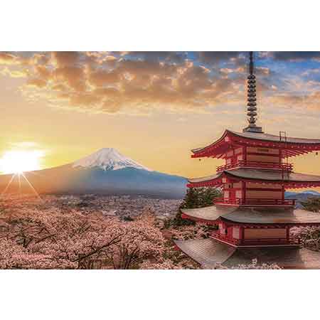 富士山と桜